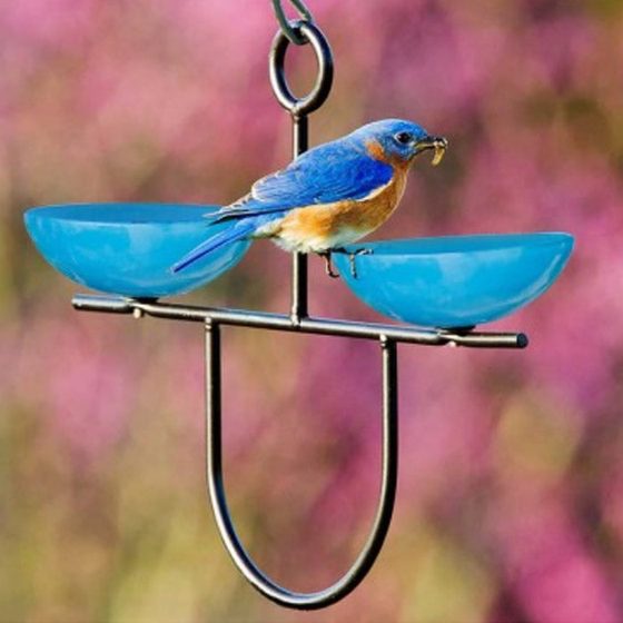 Side by Side Poppy Bird Feeder — Bluebird Blue