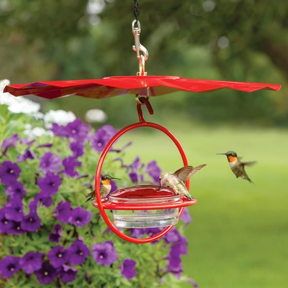Sphere Hummingbird Feeder and Weather Guard