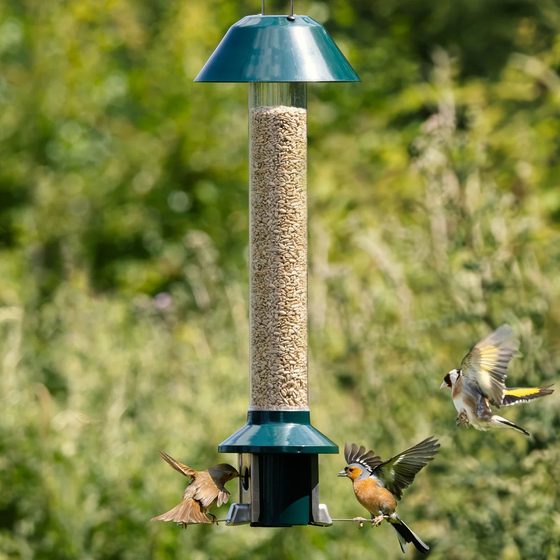 Squirrel-Proof Hopper Feeder