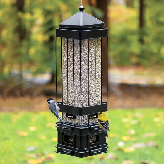 Squirrel Shield Advantage Cage Metal Bird Feeder