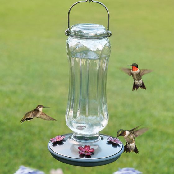Starglow Vintage Hummingbird Feeder