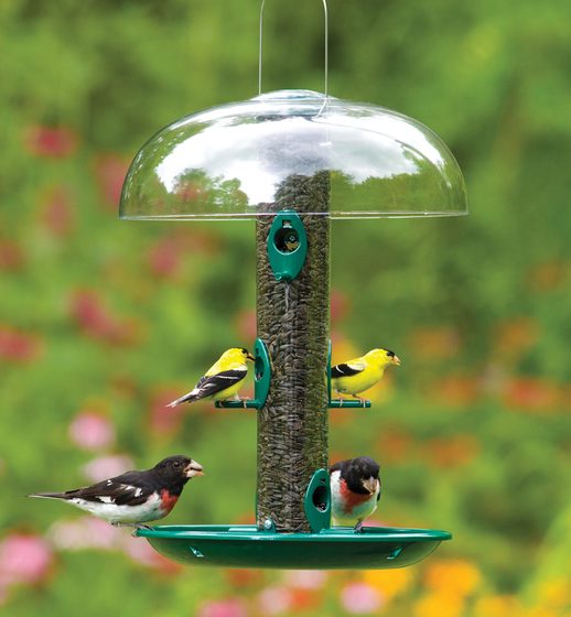 Super Classic Tube Bird Feeder Combo