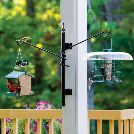 Wall Mount Straight Pole with Adjustable Straight Arms