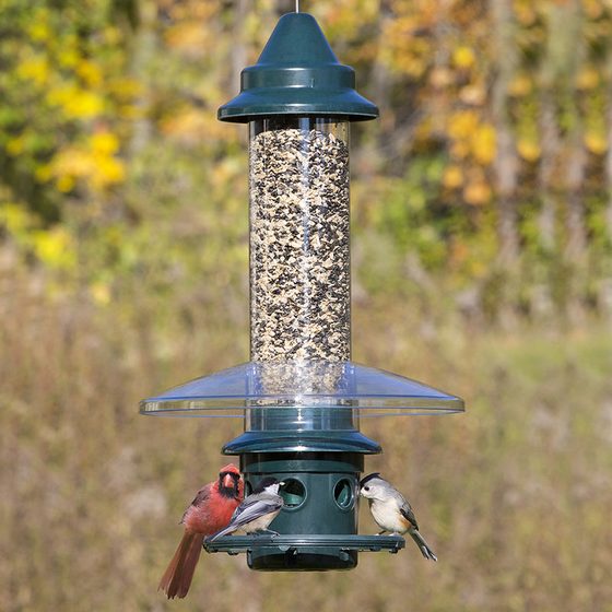 Weight-Activated Squirrel-Proof Feeder & Weather Guard