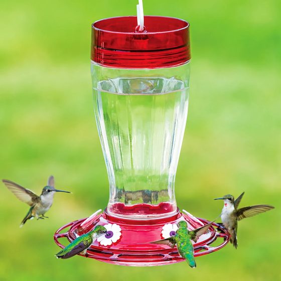 Wide-Mouth Hummingbird Feeder