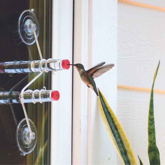 Window Hummingbird Feeder, 2 Tube Feeder